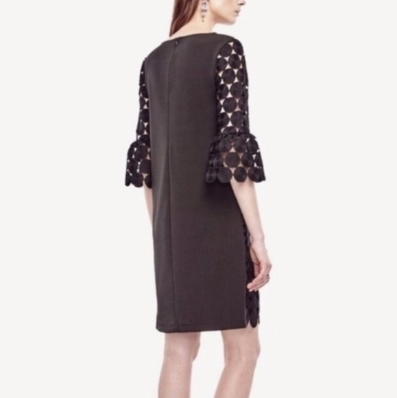 Ann Taylor sz 10 black circle dress ruffle sleeve - Picture 3 of 6
